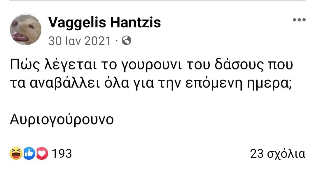 αυριογούρουνο.jpg