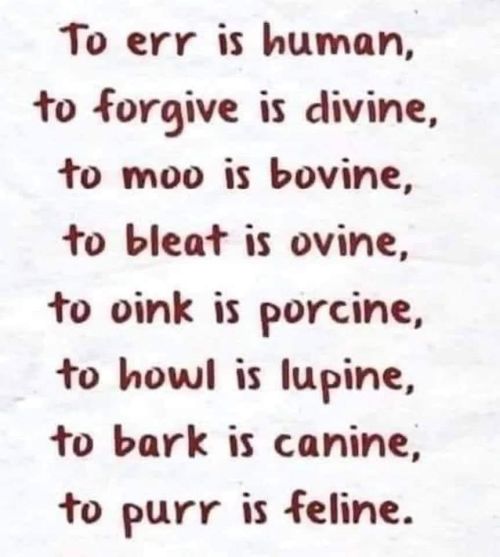 to purr is feline.jpg