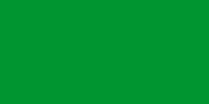 300px-Flag_of_Libya_(1977).svg.png