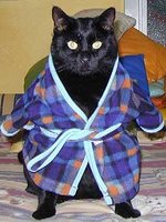 cat-robe.jpg