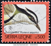 stock-photo-sierra-leone-circa-a-stamp-printed-in-sierra-leone-shows-crocodile-bird-pluvianus-10.jpg