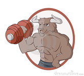 bull-lifting-dumbbell-17050662.jpg